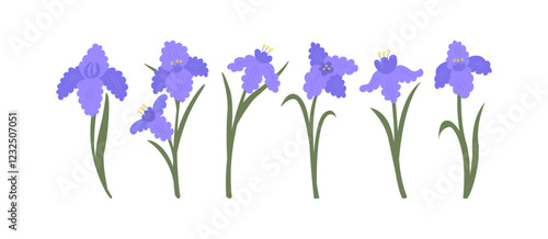 Set of purple iris brunches. Vector floral hand drawn botanical illustration. Elegant spring and summer flower cliparts with buds and leaves