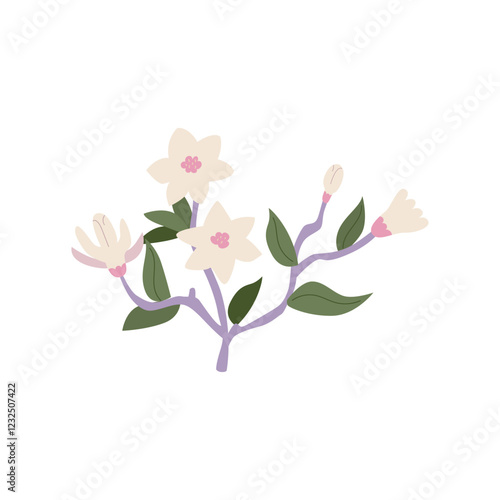 Magnolia flower branch. Floral vector flat illustration on isolated background