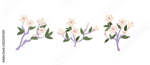 Set of magnolia flower branches. Floral vector flat illustration on isolated background