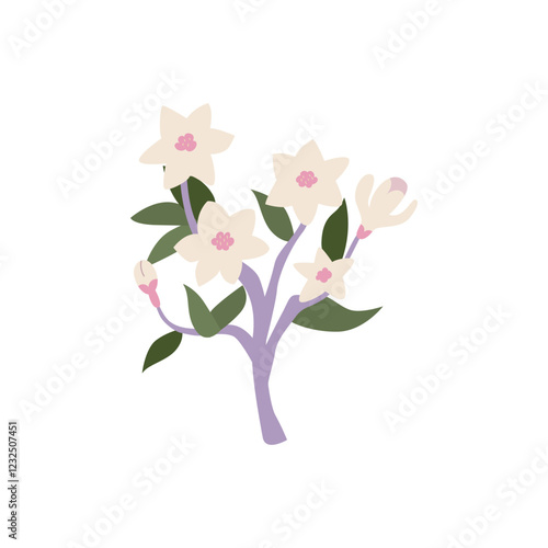 Magnolia flower branch. Floral vector flat illustration on isolated background