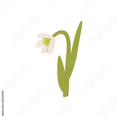 Cute snowdrop flower on isolated background. Vector flat floral illustration in simple naive style. Spring wildflower clipart for holidays, women's day, birthday, mother's day designs, etc.