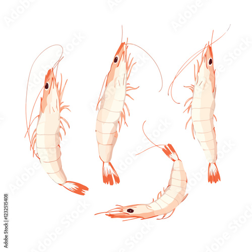 Four fresh shrimps swimming on white background