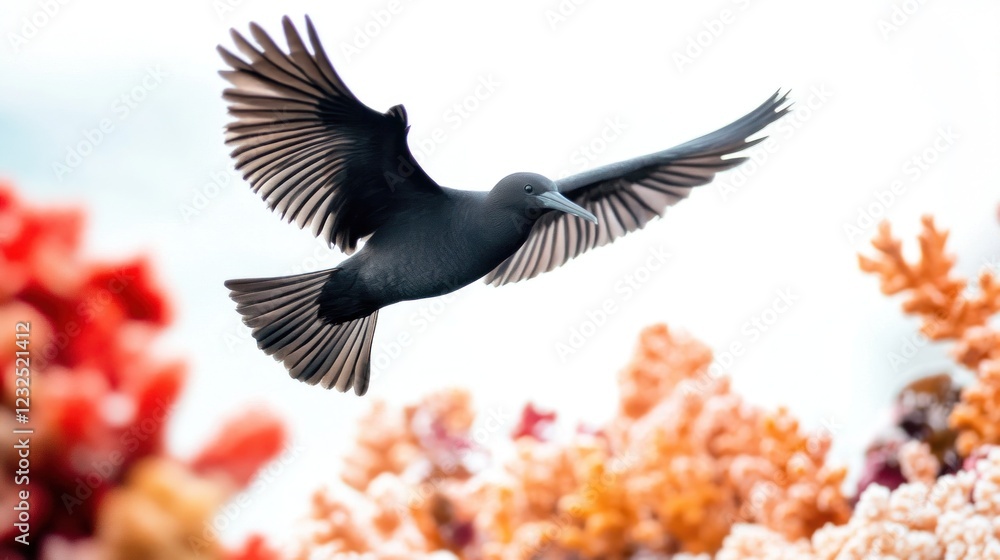 Obraz premium Bird flying over colorful coral reef