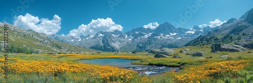 Panorama of the mountains. Scenic green meadow landscape in the Himalayas. Great Lake Trek in Kashmir, India. Mountains in the vicinity of Gangabal Lake