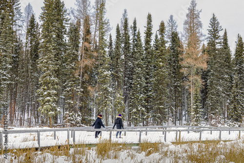 Beautiful Winter Day at Waskesiu River Trail in Prince Albert National Park, Canada. photo