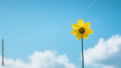 Sunny Day Bloom:  A single,...