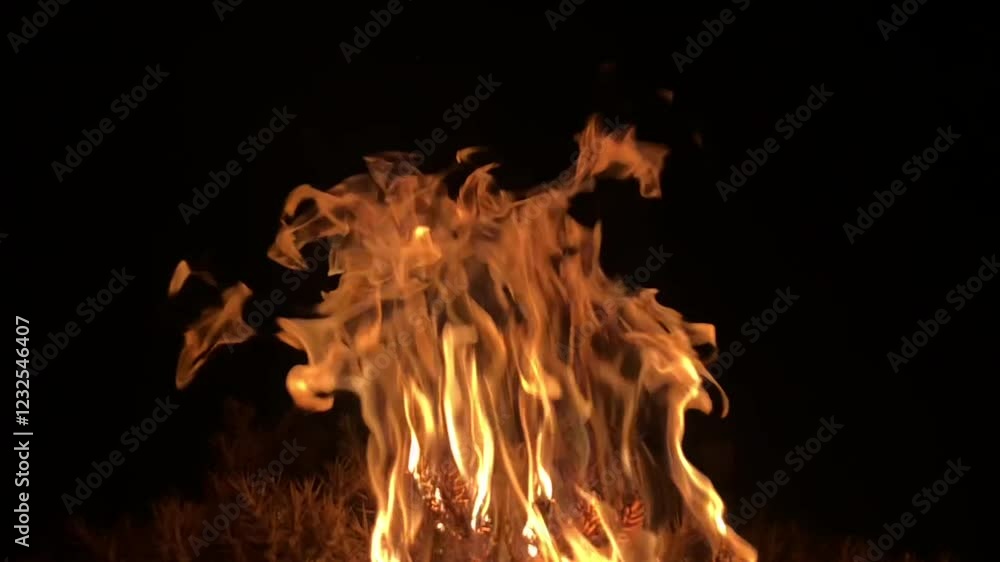 Fire Flame energy power forest danger Fire Flame energy power forest danger