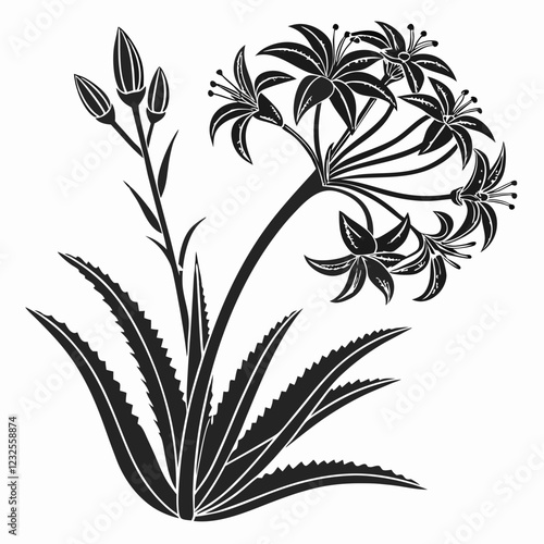 Bai sanicle vector silhouette black design white background