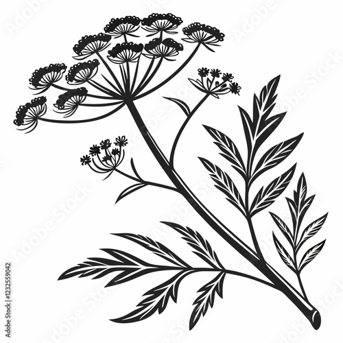 Bai sanicle vector silhouette black design white background