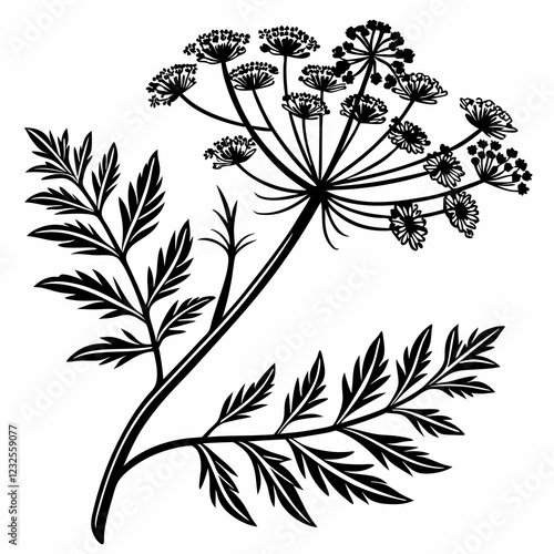 Bai sanicle vector silhouette black design white background