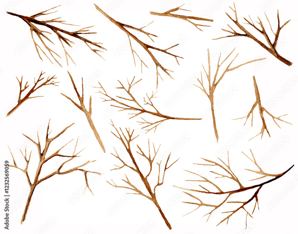 Fototapeta premium Collection of bare brown tree branches isolated on white background. Watercolor set.