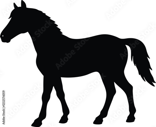 morgan horse  silhouette simple flat vector