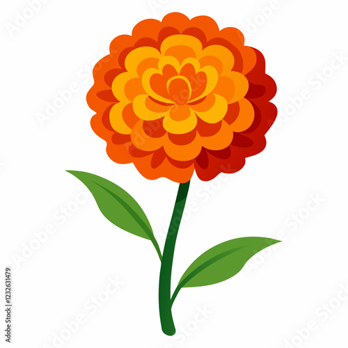 Marigold flower isolated on white. Vector illustration