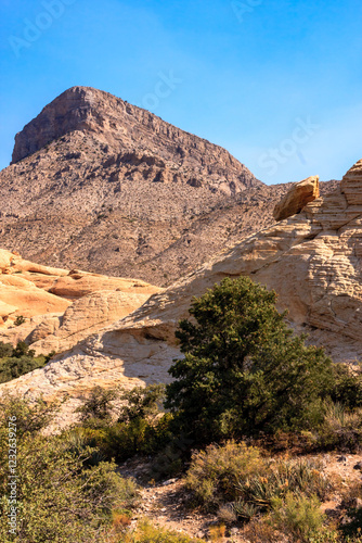 Red Rock Canyon photo