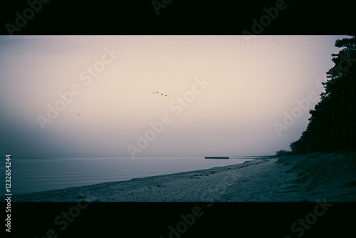 Fototapeta Naklejka Na Ścianę i Meble -  Calm beach on the Baltic Sea in the warm light of sunset. Gentle waves, sandy coastline and subtle atmosphere of relaxation. Perfect image for themes related to nature, travel, and holidays.