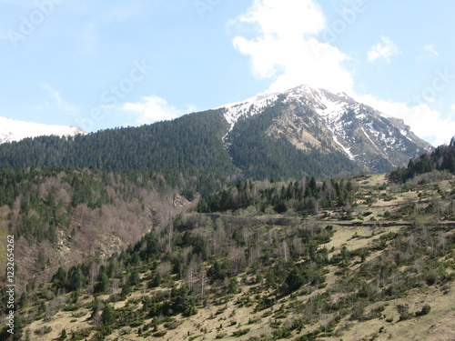 Paysage de montagne