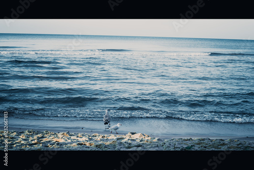 Fototapeta Naklejka Na Ścianę i Meble -  Calm beach on the Baltic Sea in the warm light of sunset. Gentle waves, sandy coastline and subtle atmosphere of relaxation. Perfect image for themes related to nature, travel, and holidays.