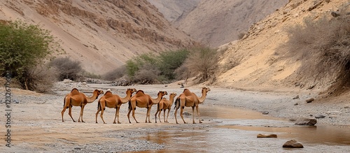 Wallpaper Mural Camels Oasis Desert Canyon Travel Torontodigital.ca