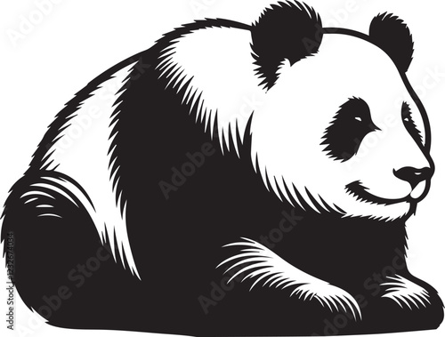 Giant panda vector black and white 