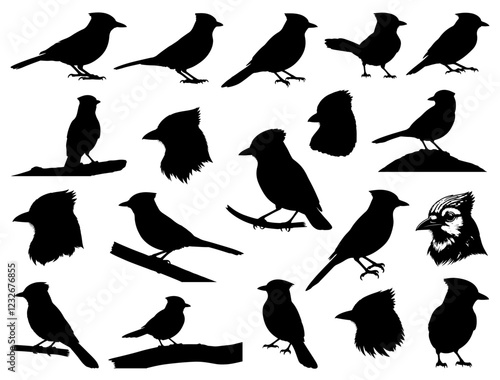 BLUE JAY BIRD SILHOUETTE ON WHITE BACKGROUND
