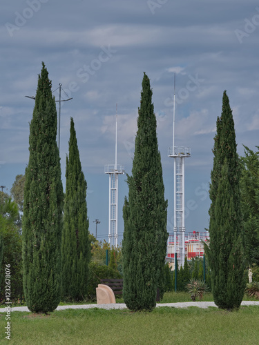 Russia, Sochi. A strict view of the pyramidal poplars in the ornithological park on the Black Sea coast.