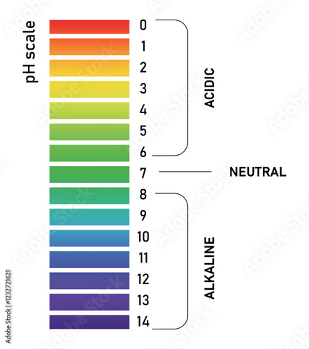 Vertical pH scale for measuring acid alkaline balance. Chemical value test PNG and Vector 