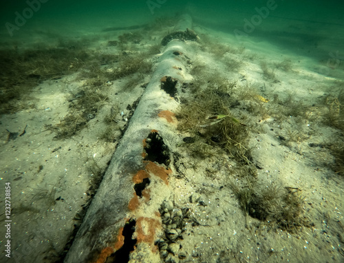 Underwater view of a rusty and damaged underwater pipe on a lakebed. The pipe appears aged and possibly abandoned, with large holes covered in seashells.