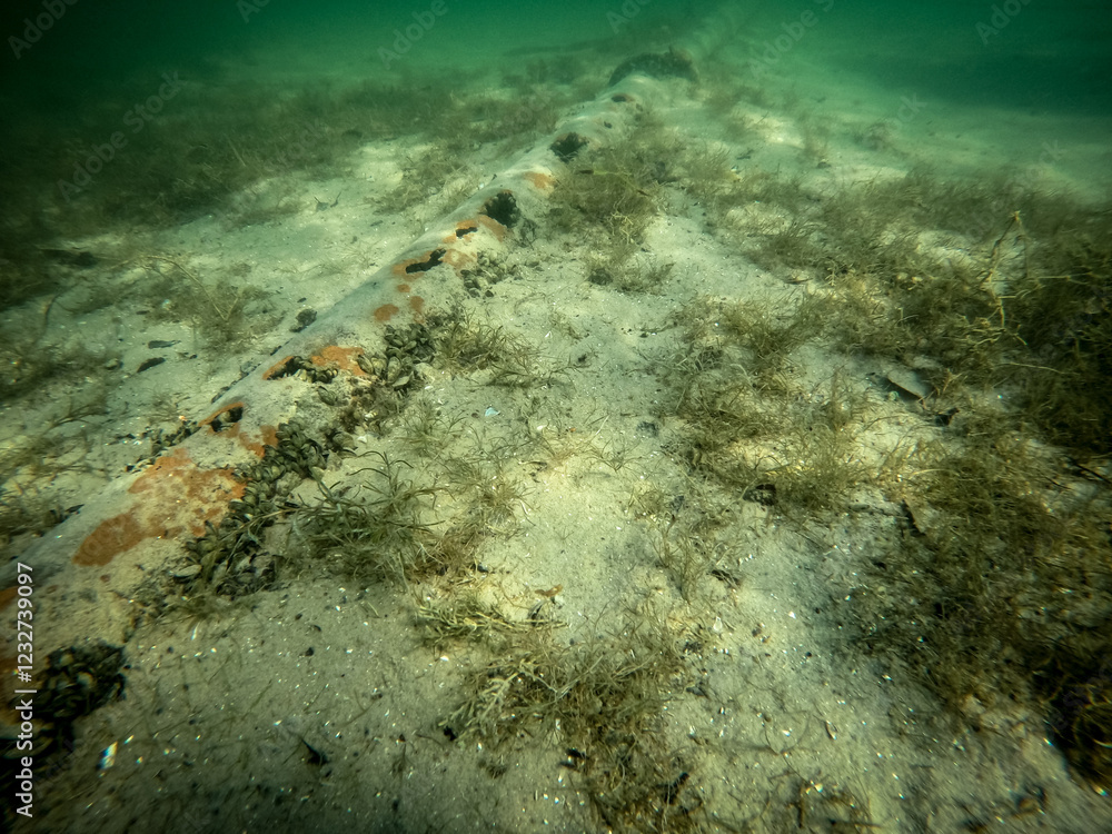 Fototapeta premium Underwater view of a rusty and damaged underwater pipe on a lakebed. The pipe appears aged and possibly abandoned, with large holes covered in seashells.