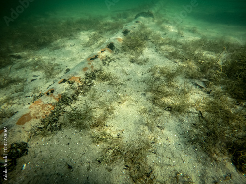 Underwater view of a rusty and damaged underwater pipe on a lakebed. The pipe appears aged and possibly abandoned, with large holes covered in seashells.