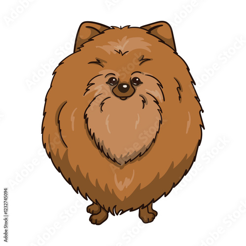 Cute spitz puppy. Colored vector illustration of a funny dog. Hand drawn character isolated on white background