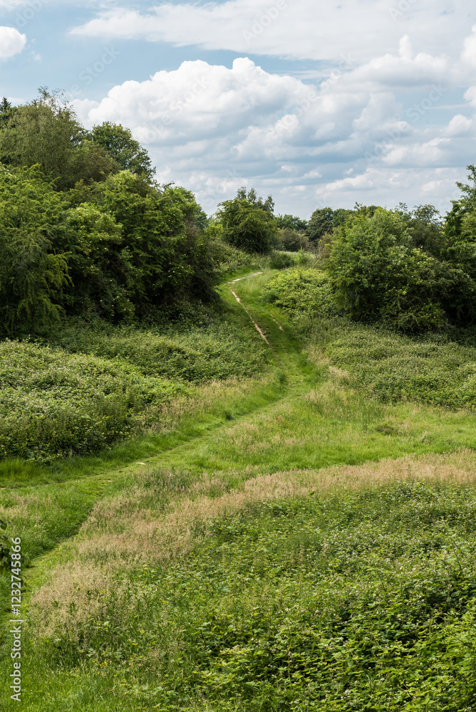 The green semi-natural meadows of the Kauwberg nature reserve The green semi-natural meadows of the Kauwberg nature reserve