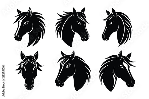 Horse Care and Training Essential Tips for Owners and Riders.