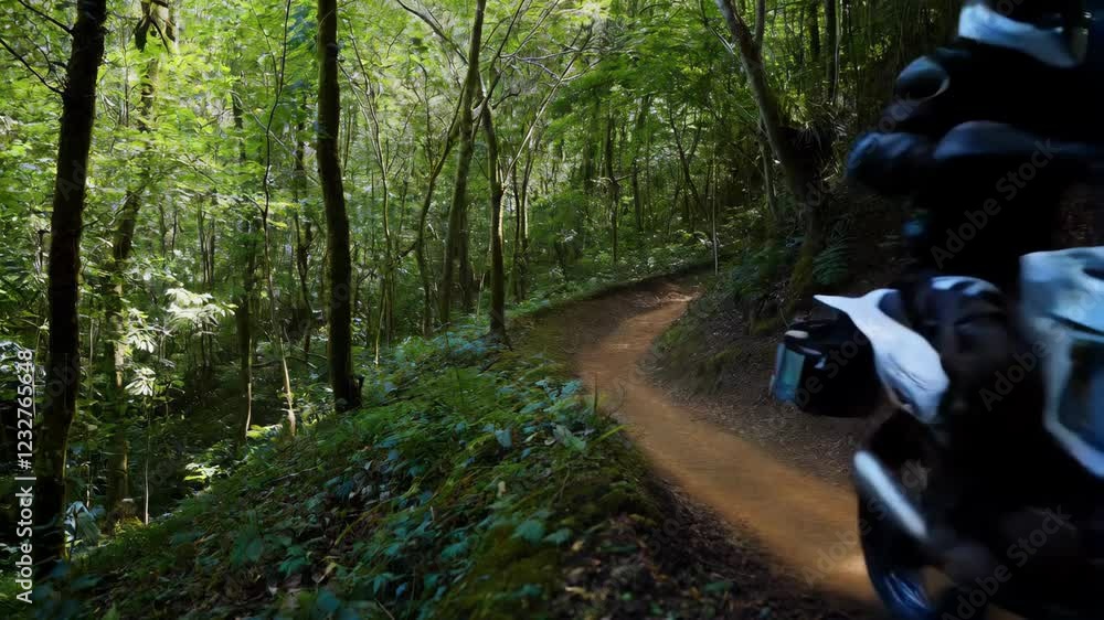 Motorcyclists Adventure Through Lush Forest Trail Motorcyclists Adventure Through Lush Forest Trail