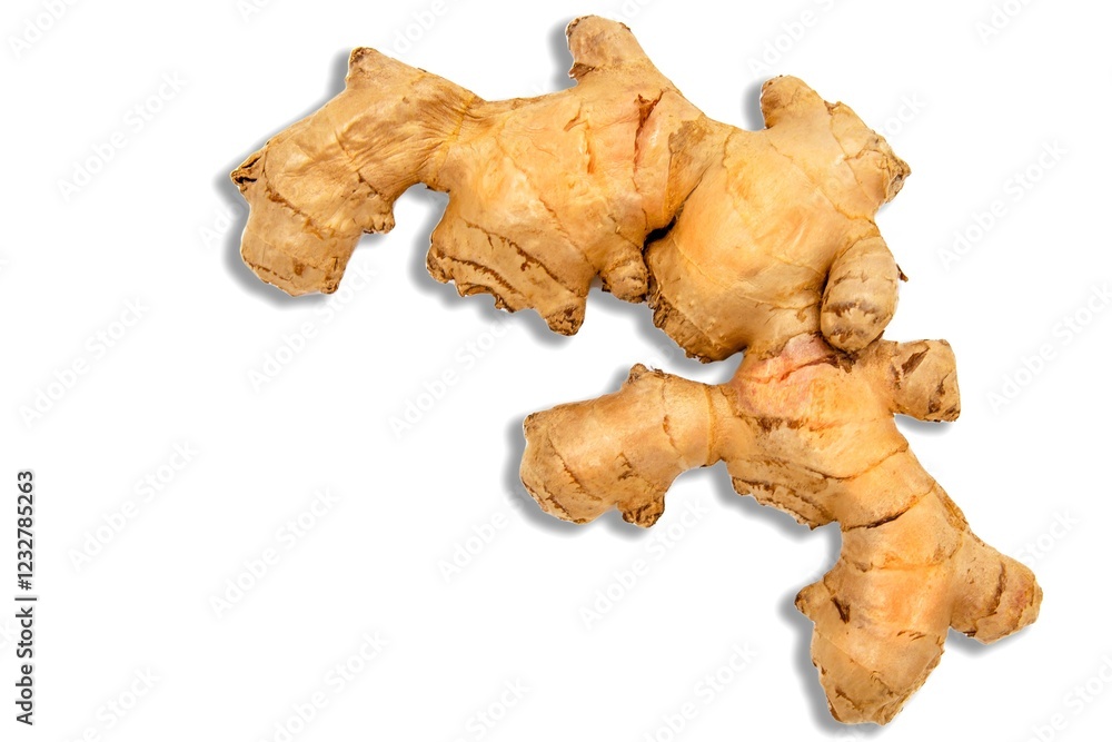 Fresh Ginger Root on White Background – Organic Spice and Herbal Medicine Ingredient Fresh Ginger Root on White Background – Organic Spice and Herbal Medicine Ingredient