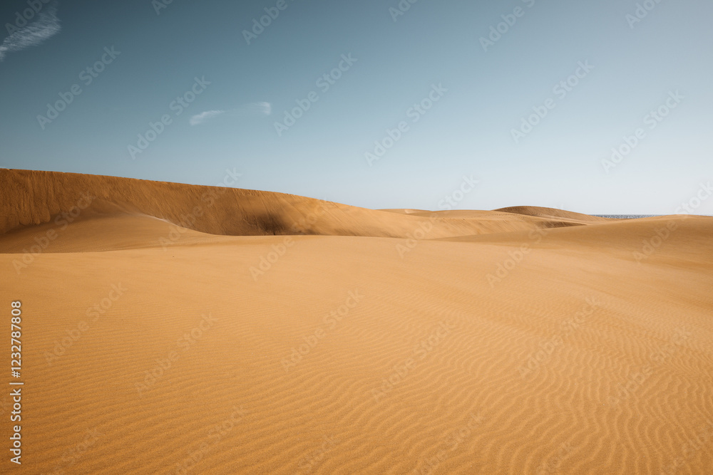 sand dunes in the desert of Sahara sand dunes in the desert of Sahara