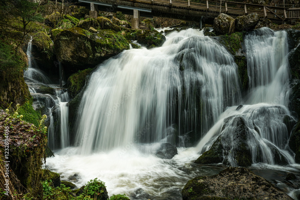 Obraz premium Beautiful Beautiful waterfall in the Black Forest in Triberg ( Germany ) Oktober 15, 2022. One of Triberg Waterfalls steps in the Black Forest region in , Baden-Wuerttemberg, Germany