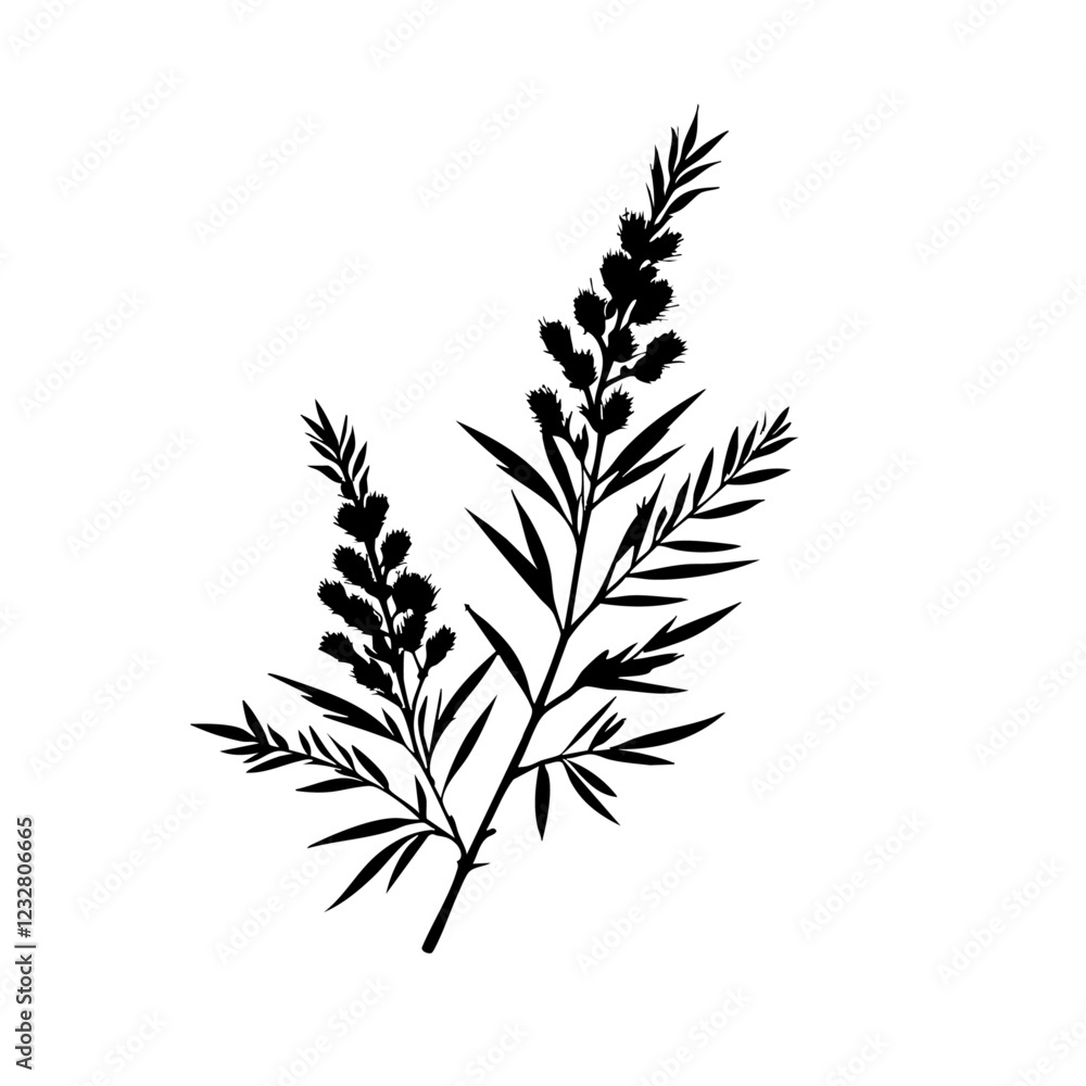 Obraz premium Rosemary Plant Vector Logo Design