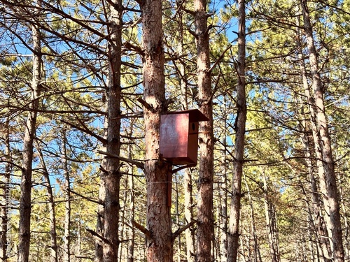 a feeder on the tree in the forest