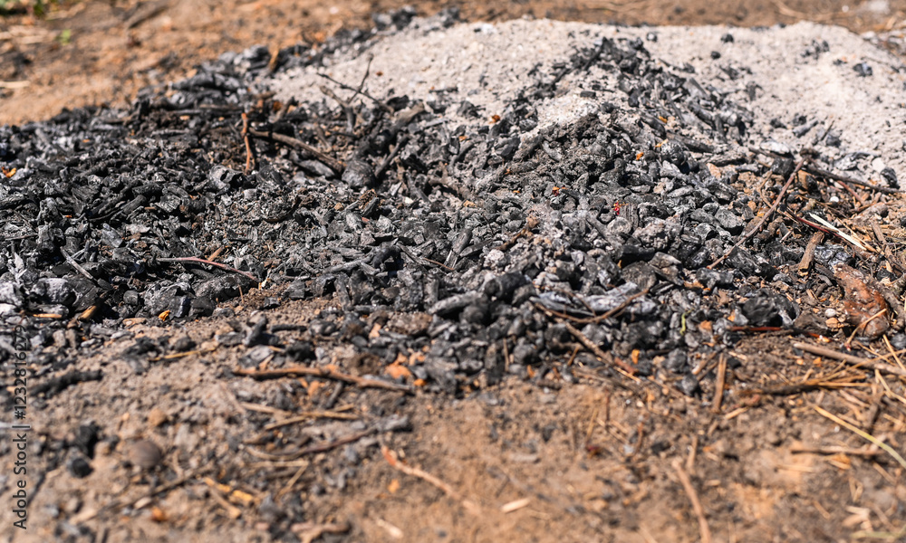 wood ashes on the ground after the fire wood ashes on the ground after the fire