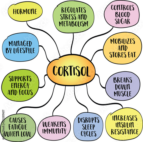Cortisol, stress hormone  plays a crucial role in metabolism, energy regulation, immune function, and overall health. Infographics sketch.