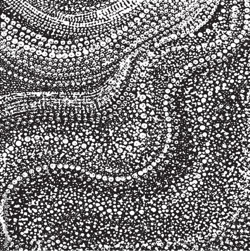 Monochrome texture composed of irregular graphic elements. Distressed uneven grunge background. Abstract vector illustration. Overlay for interesting effect and depth. Isolated on white background.
