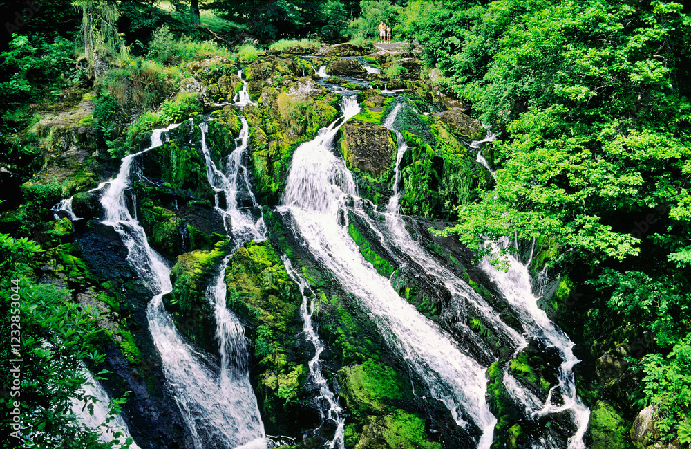 Swallow Falls, Welsh language Rhaeadr Ewynnol, on the Afon Llugwy river near Betws-y-Coed, Gwynedd, north Wales, UK