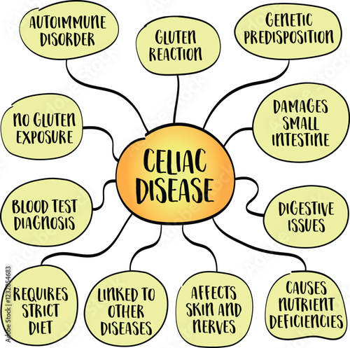 Celiac disease is an autoimmune disorder in which the ingestion of gluten triggers an immune response that damages the small intestine. Infographics sketch.