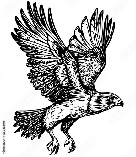 Black-and-White Cartoon Falcon Precision and Detail in Illustration, Sketch, No Background 