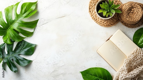 Soft sunlight illuminates an open book and a potted plant in a serene indoor ...