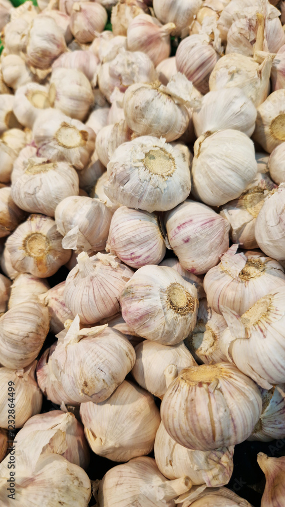 Garlic close up in supermarket. Lots of garlic in plastic green box on market stall. Garlic in green plastic box at farmers market. Garlic for sale in store. Display of fresh produce for sale Garlic close up in supermarket. Lots of garlic in plastic green box on market stall. Garlic in green plastic box at farmers market. Garlic for sale in store. Display of fresh produce for sale