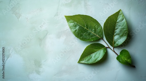 Dewy green leaf resting on a flat surface showcasing natural textures and col...