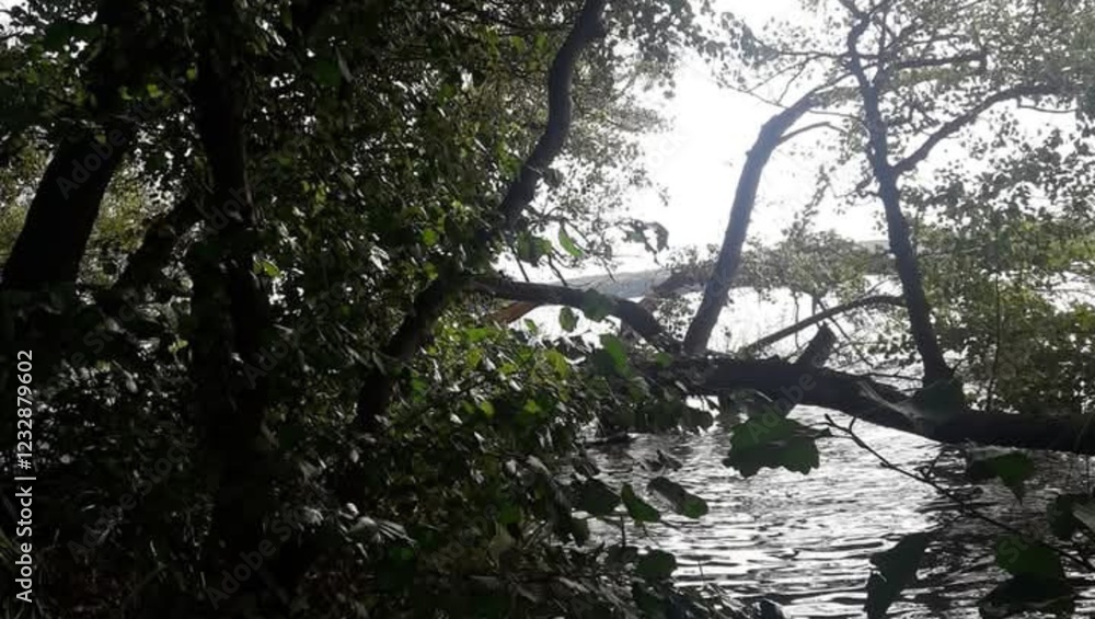 Agregar un título - naturaleza bella Agregar un título - naturaleza bella
