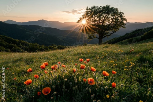 Springtime sunset landscape of Aragatsotn Province, Armenia, featuring blooming flowers photo