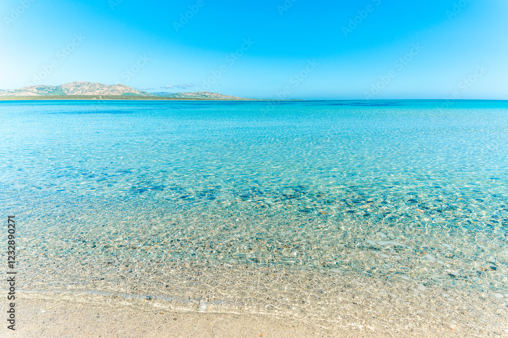 Fototapeta premium Crystal clear water in La Pelosa beach